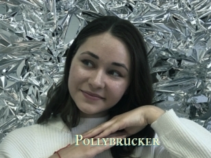 Pollybrucker
