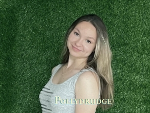 Pollydrudge