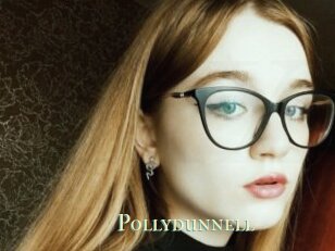 Pollydunnell