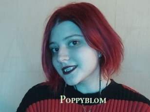 Poppyblom