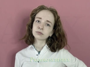 Primrosebisbee