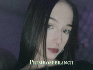 Primrosebranch
