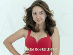 Primrosebunte