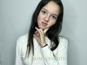 Primrosebute