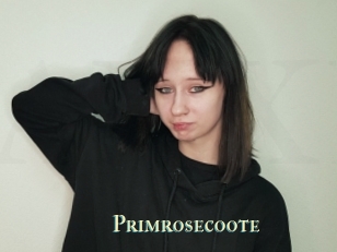 Primrosecoote