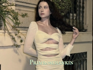 Primrosehankin