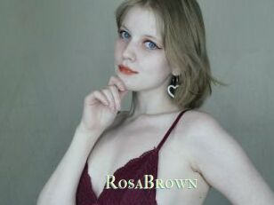 RosaBrown