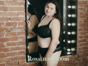 Rosaliebigboobs