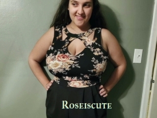 Roseiscute