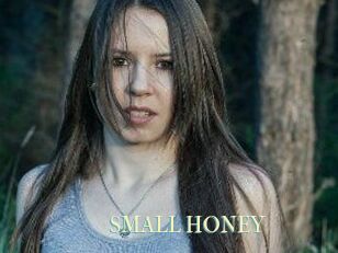 SMALL_HONEY