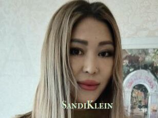 SandiKlein