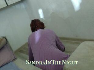SandraInTheNight