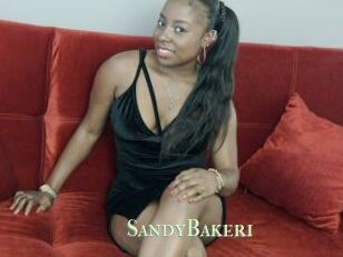 SandyBaker1