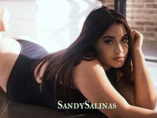 SandySalinas
