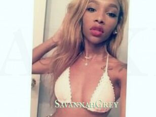 Savannah_Grey