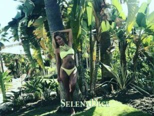 SelenaDice