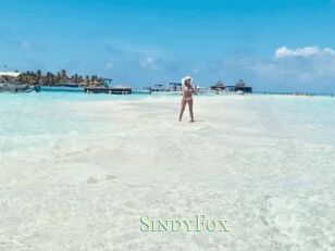 SindyFox