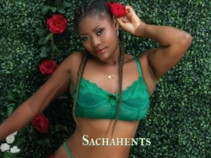 Sachahents
