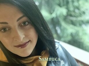 Sambuca