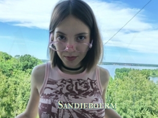Sandieboerm