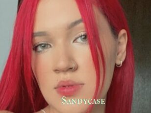 Sandycase