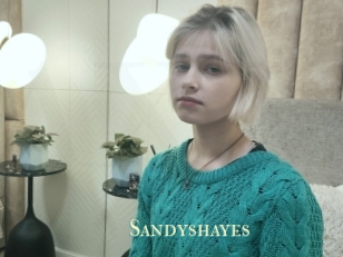 Sandyshayes