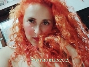 Sanyrobles202