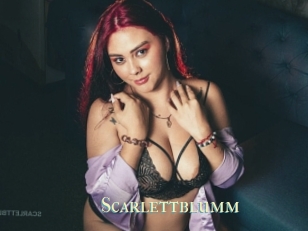 Scarlettblumm