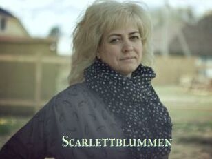 Scarlettblummen