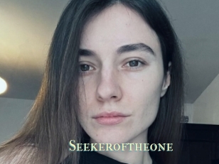Seekeroftheone