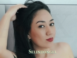 Selindongel