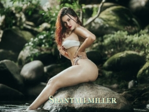 Shantallmiller