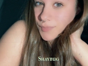 Shaybug