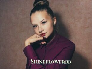 Shineflowerbb