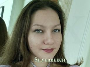 Silverbeech
