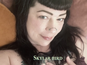 Skylar_bird