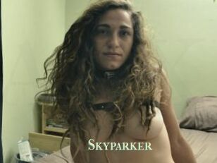 Skyparker