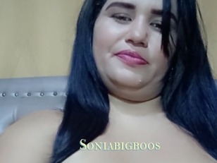 Soniabigboos