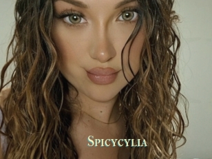 Spicycylia