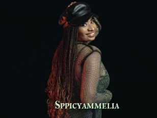 Sppicyammelia
