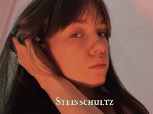 Steinschultz