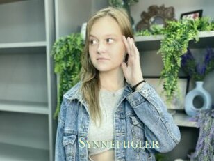 Synnefugler