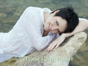 TenderIStheNight