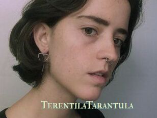 TerentilaTarantula