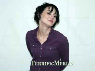 TerrificMerlin