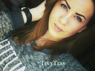 TinyTess