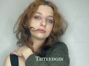 Taiteedgin