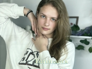 Taiteharder