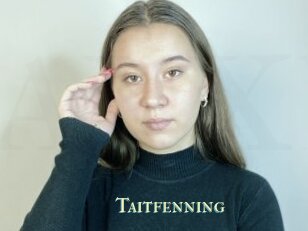 Taitfenning