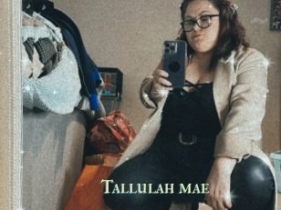 Tallulah_mae